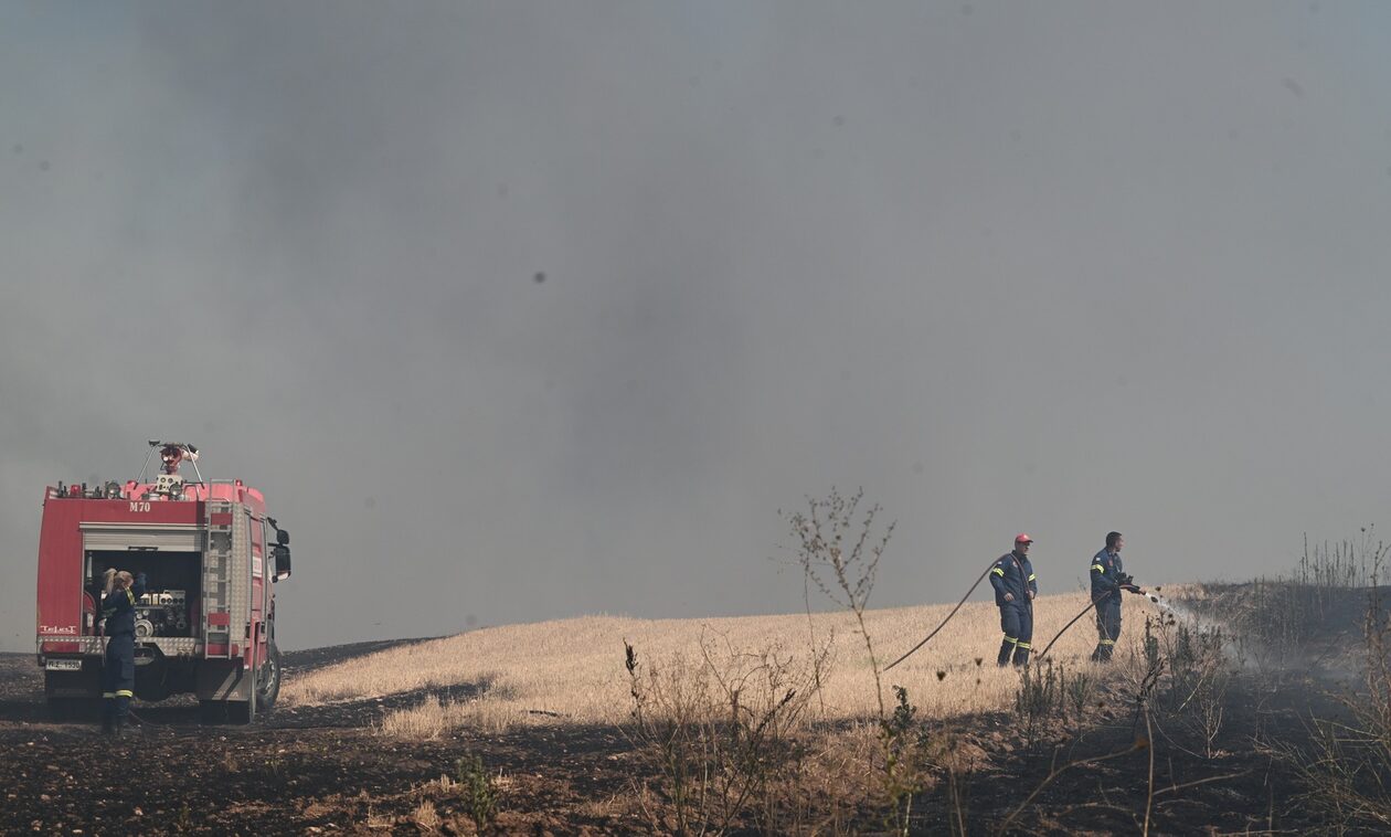 Θεσσαλονίκη: Πυρκαγιά σε γεωργική έκταση στον Προφήτη