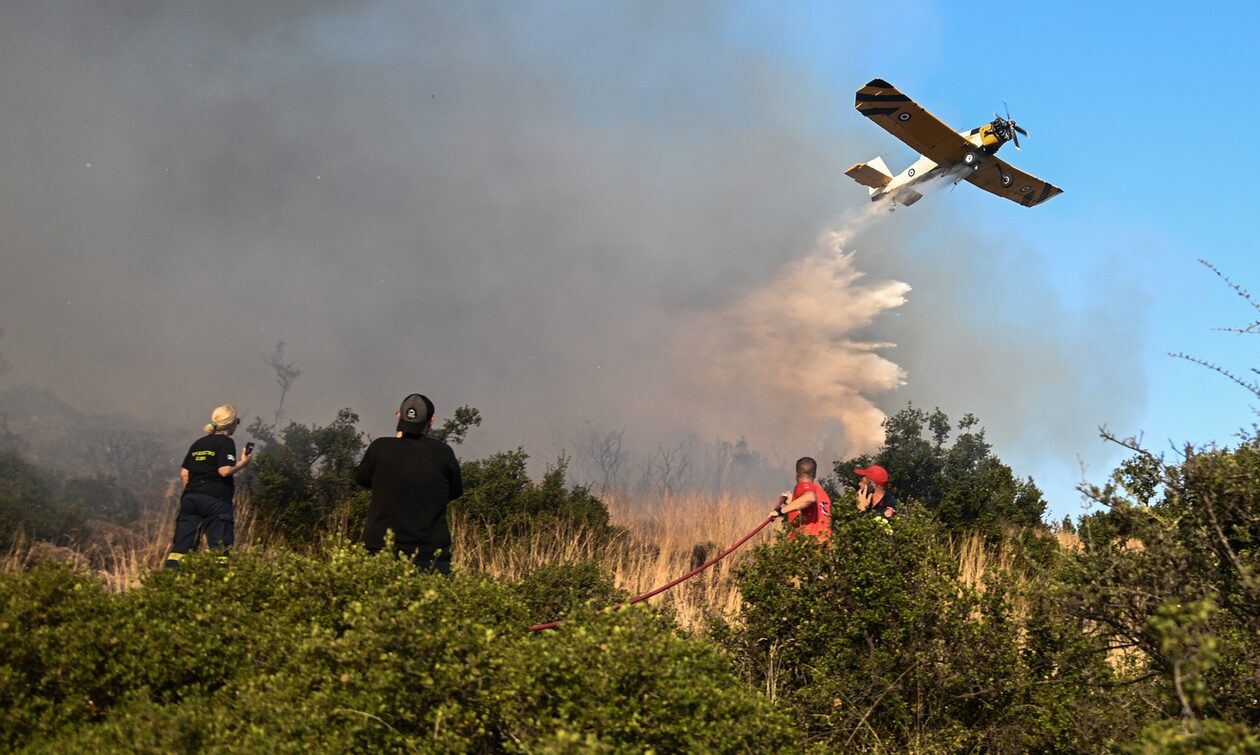 Σε ύφεση το πύρινο μέτωπο στη Λαμία  