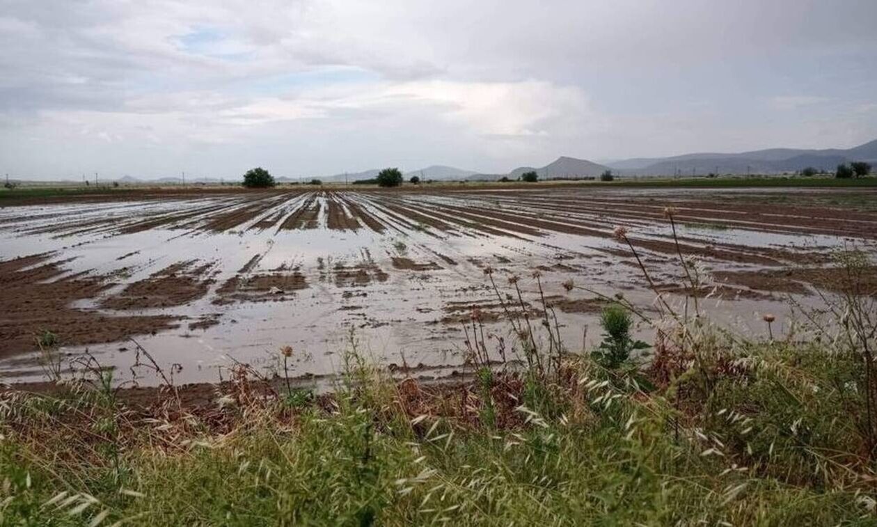 Ξάνθη: Καταστροφές σε καλλιέργειες και κτηνοτροφικές μονάδες από ανεμοστρόβιλο