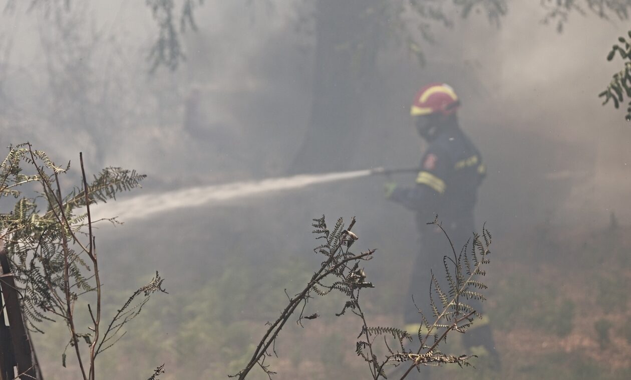 Εκδηλώθηκαν 51 δασικές πυρκαγιές τις τελευταίες 24 ώρες – Η κατάσταση στα μέτωπα