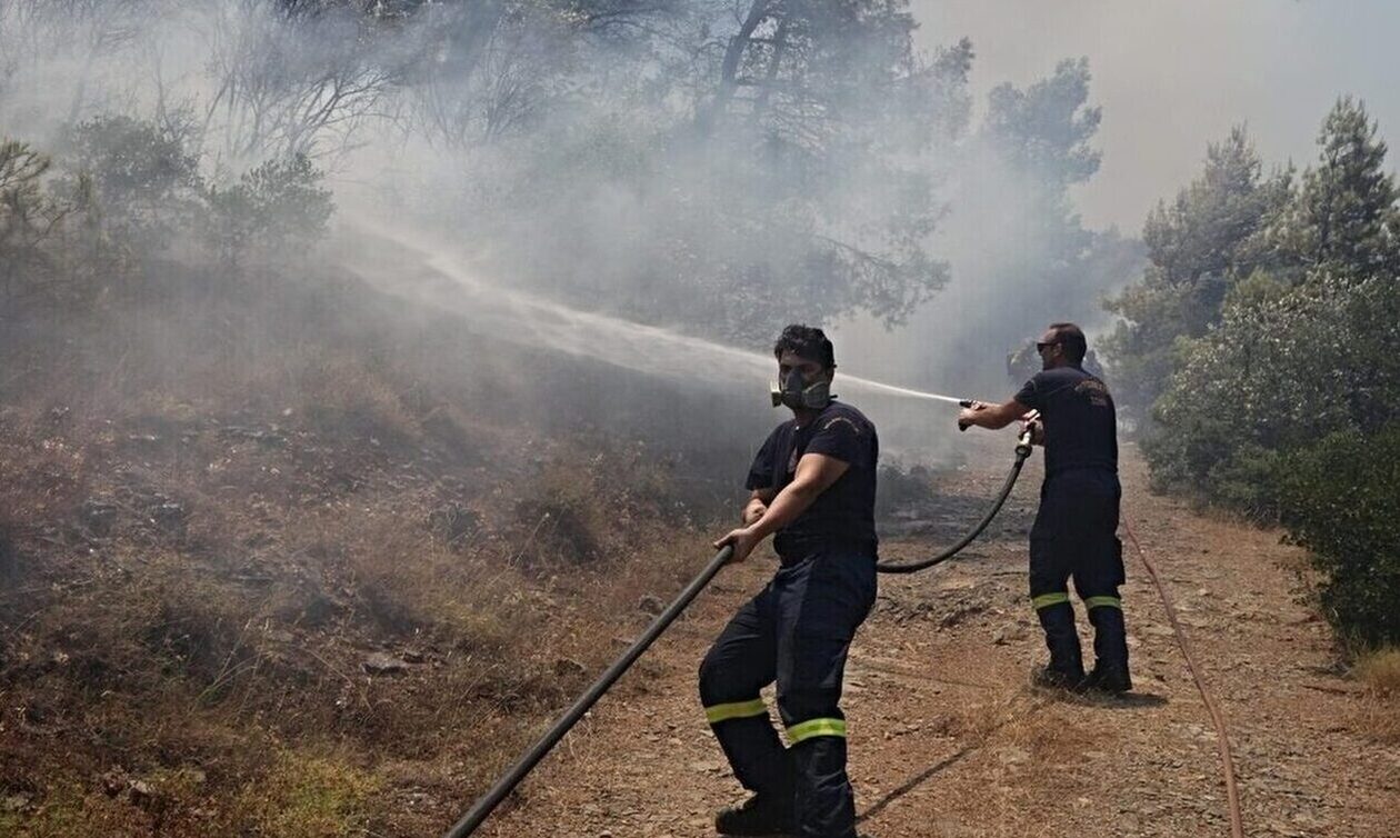 Πέλλα: Οριοθετήθηκε η φωτιά σε δασική έκταση στον Προφήτη Ηλία