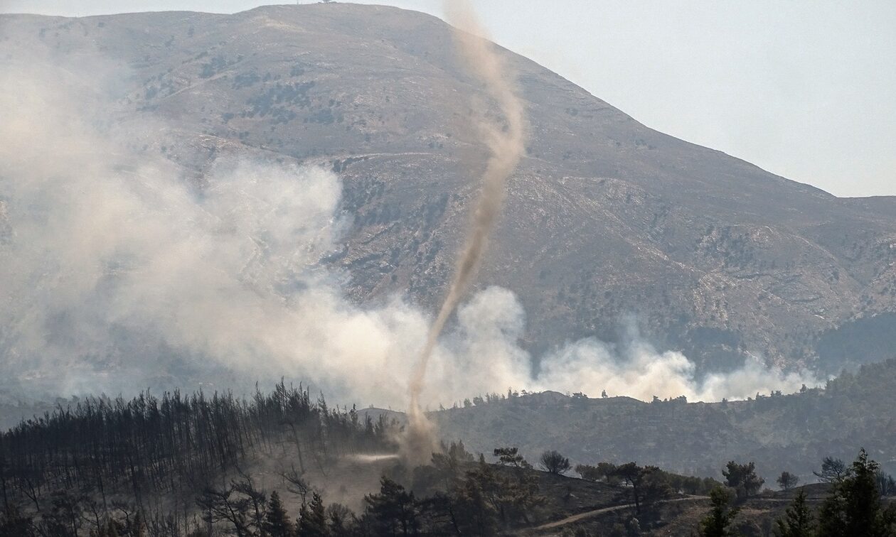 Ρόδος: Το ελάφι και οι πεταλούδες χρειάζονται τον άνθρωπο για να επιβιώσουν την επόμενη μέρα