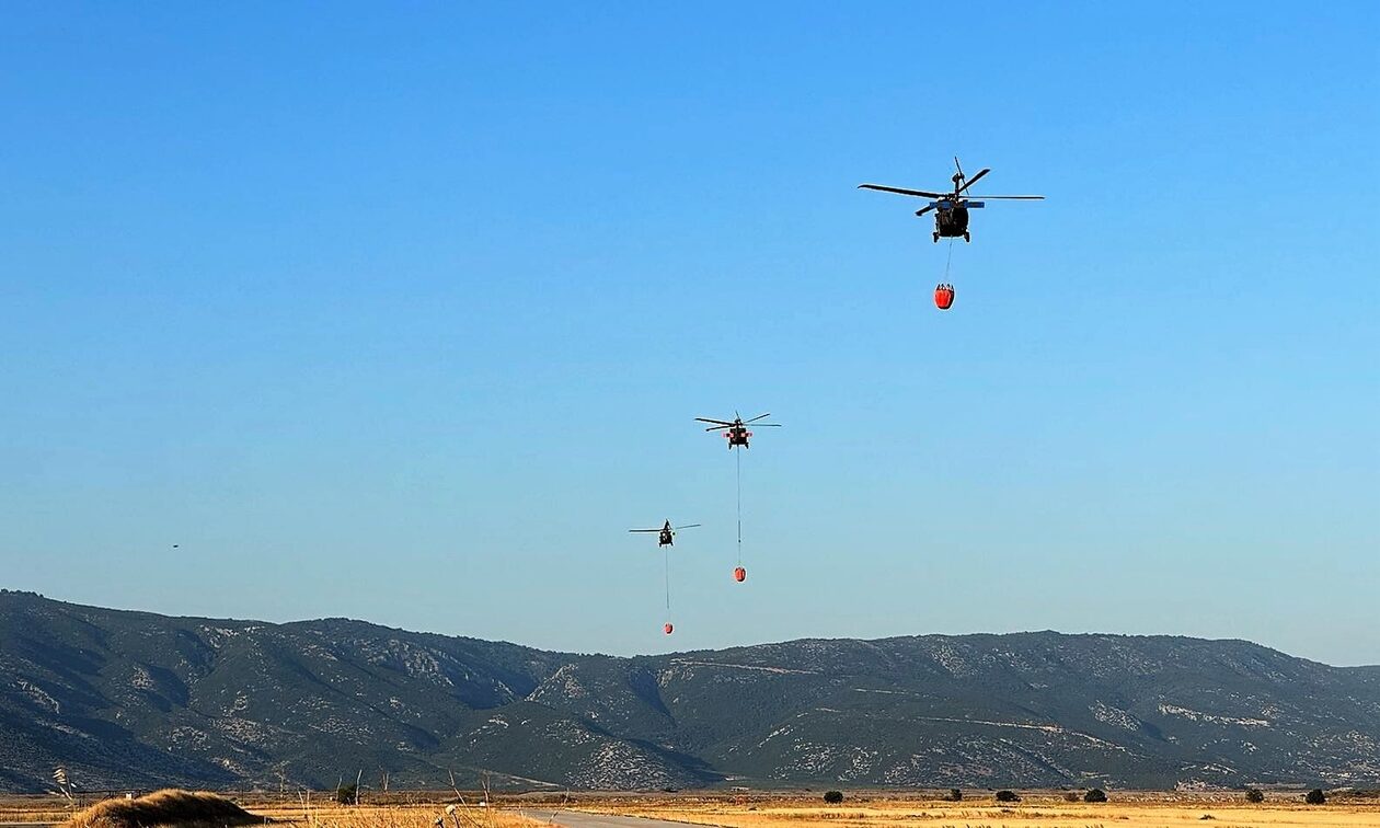 Συνδρομή των ΗΠΑ στην αντιμετώπιση των πυρκαγιών