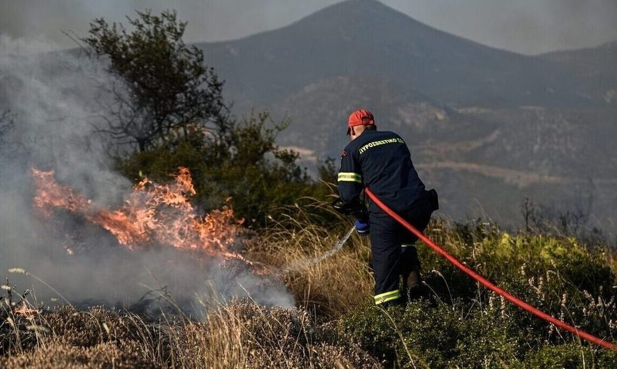 Φωτιές: 41 δασικές πυρκαγιές εκδηλώθηκαν το τελευταίο 24ωρο – Η κατάσταση στα μέτωπα