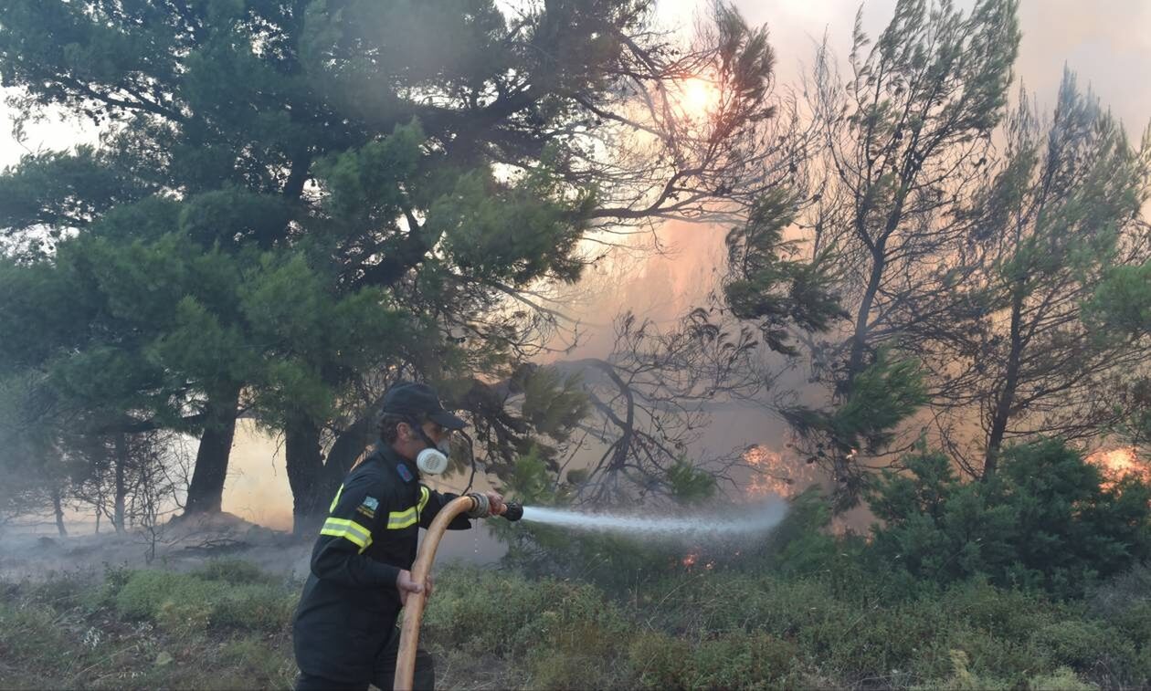 Βαρνάβας: Πιθανότατα εμπρηστής έβαλε τη φωτιά το πρωί της Κυριακής – Περιπολίες στο σημείο