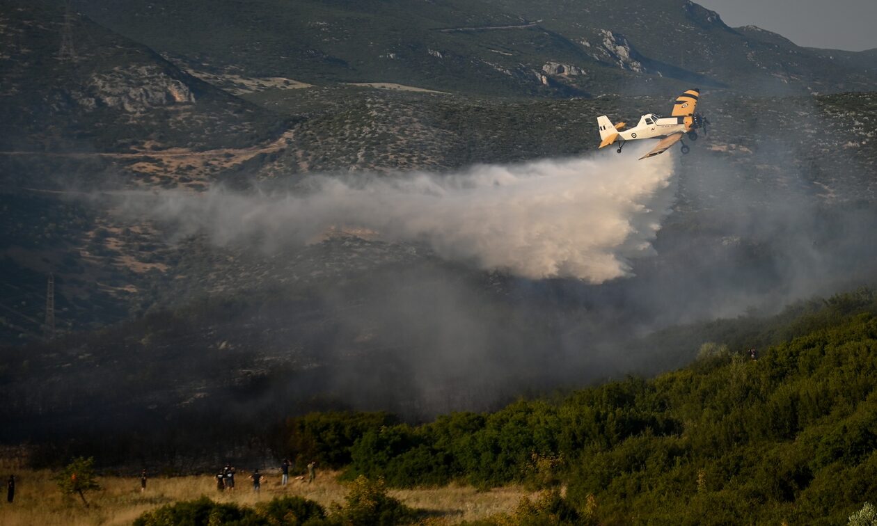 Πυρκαγιά πάνω από το Παράρτημα ΑμεΑ Δομοκού Φθιώτιδας – Επιχειρούν εναέρια