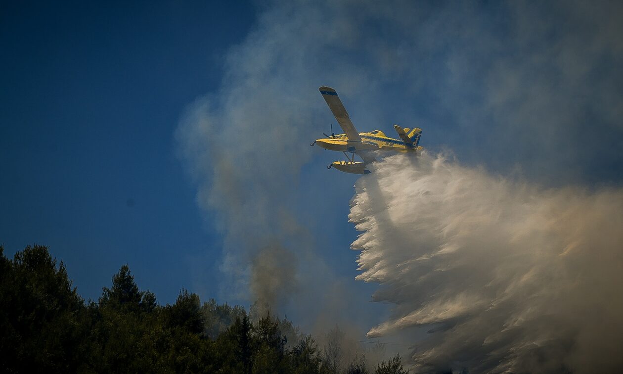 Ιωάννινα: Προφυλακίστηκε ο 57χρονος που συνελήφθη για εμπρησμό στα Τζουμέρκα