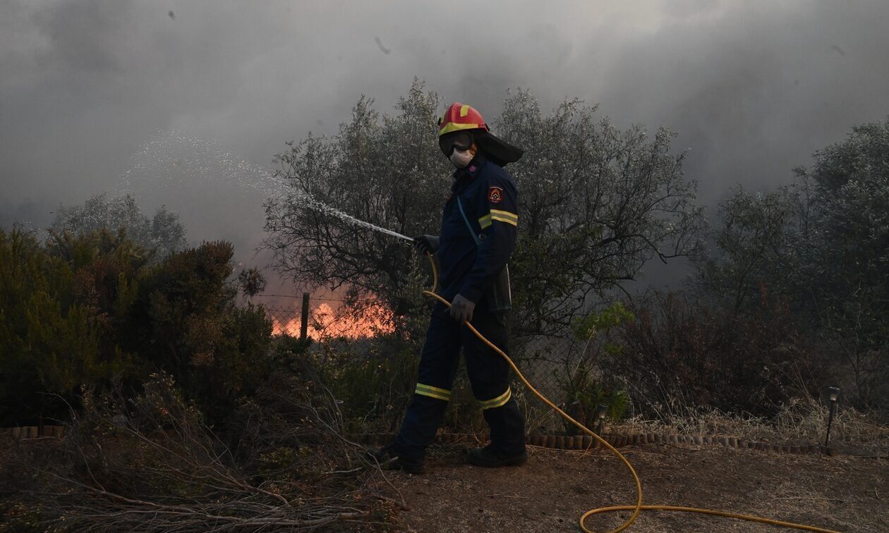 Πυροσβεστική: 44 δασικές πυρκαγιές εκδηλώθηκαν το τελευταίο εικοσιτετράωρο