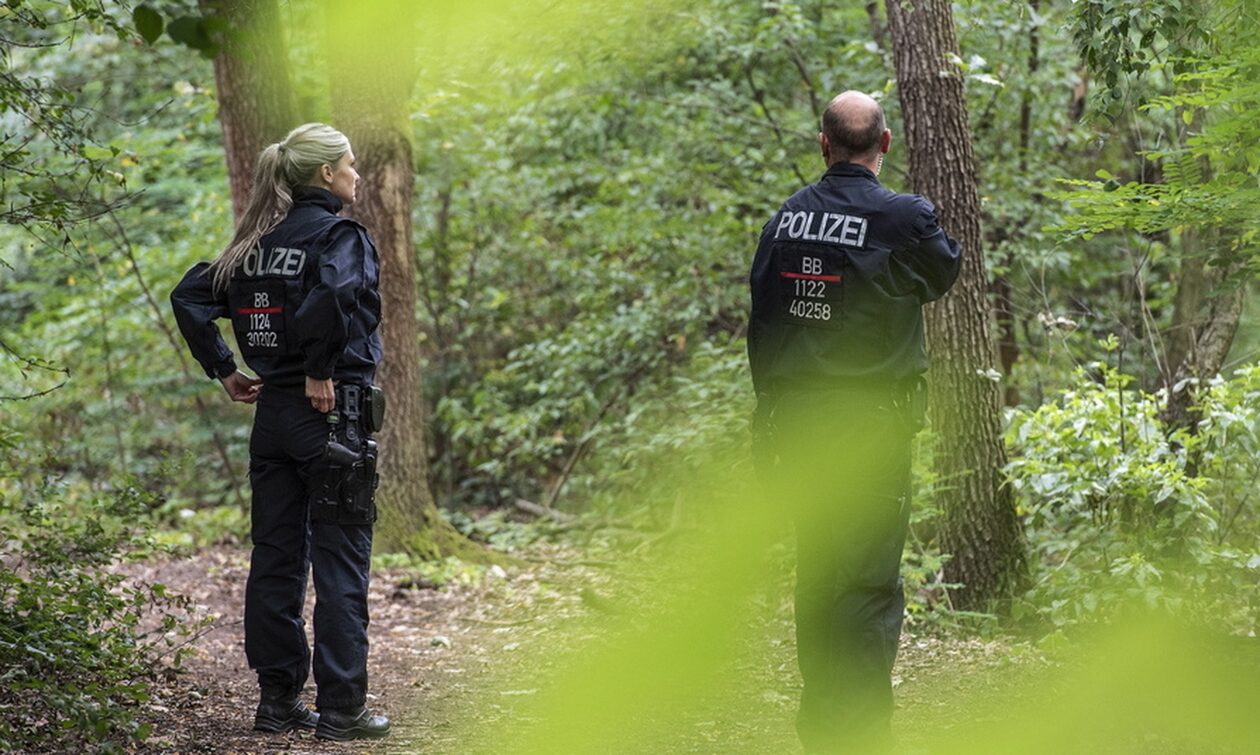 Δεύτερος συναγερμός για λιοντάρι στο Βερολίνο – Αυτή τη φορά αποδείχτηκε… λούτρινο