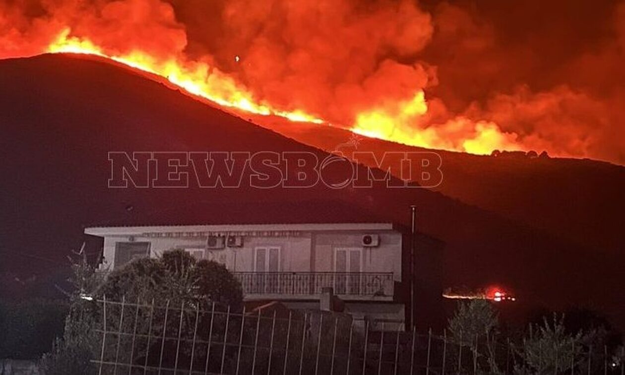 Ξανθόπουλος: Το παράδοξο της φωτιάς είναι η εύφλεκτη παρακαταθήκη της βιομάζας
