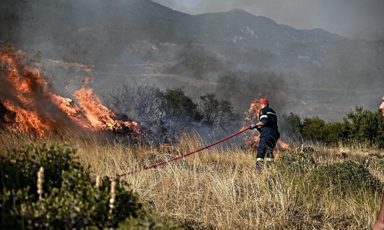 Ιωάννινα: Έβαλε φωτιά 95χρονη για να κάψει ξερά κλαδιά της ξέφυγε και… πρόλαβε η Πυροσβεστική