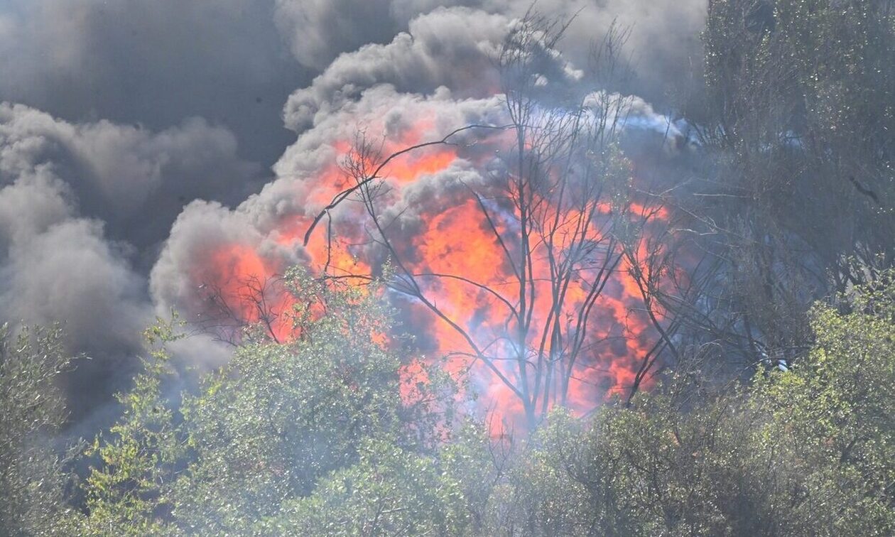Στα «μαλακά» για εμπρησμό στην Αγχίαλο – Με πατάκι έσβησε τη φωτιά ο Διοικητής της Πυροσβεστικής