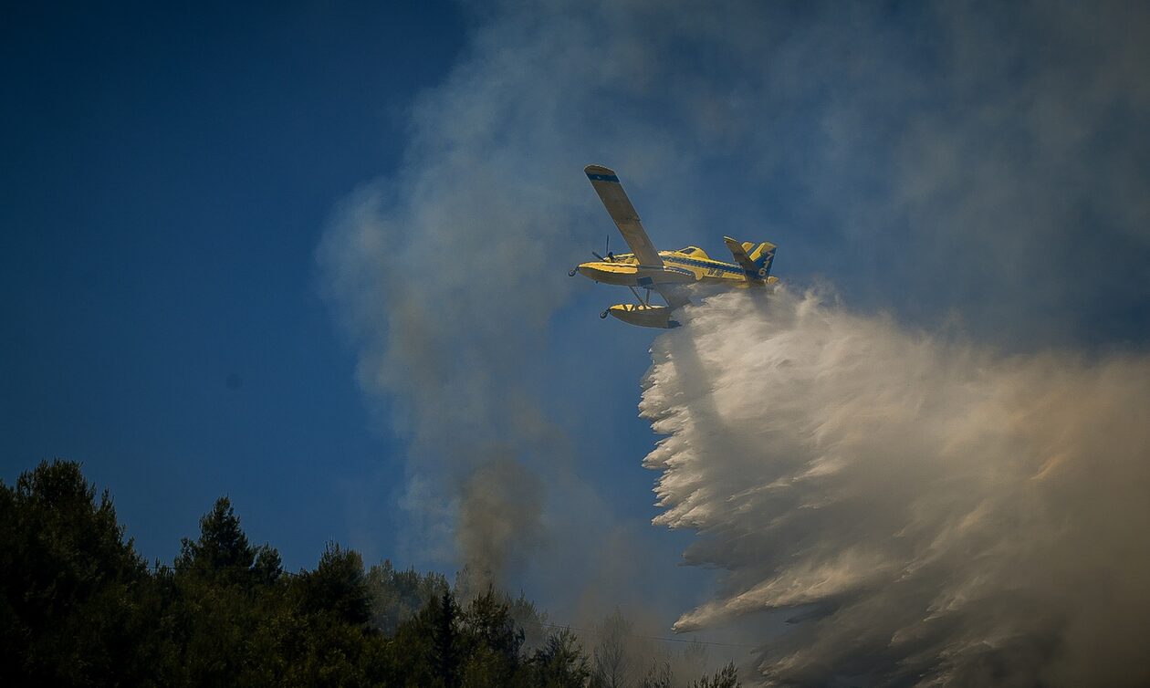 Φωτιά τώρα σε δασική έκταση στα Φάρσαλα: Επιχειρούν επίγειες και εναέριες δυνάμεις