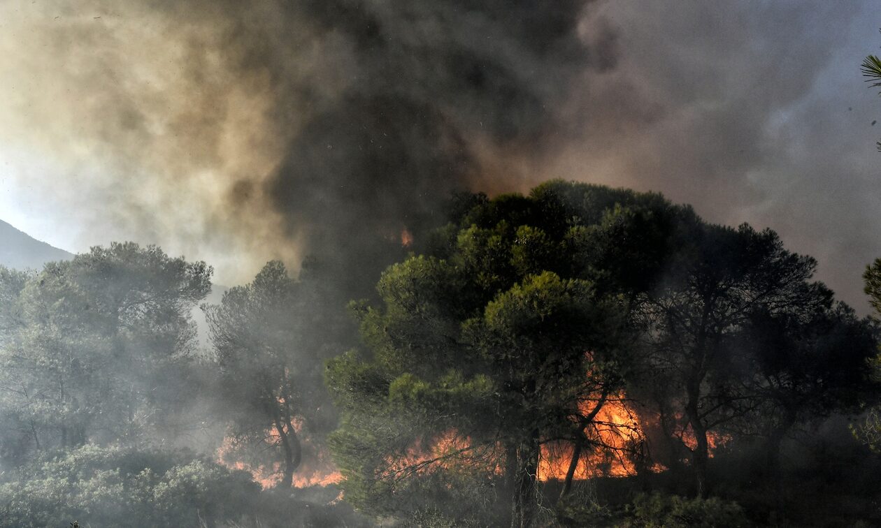Φωτιά: Υψηλός κίνδυνος πυρκαγιάς τη Δευτέρα 7 Αυγούστου – Αναλυτικός χάρτης