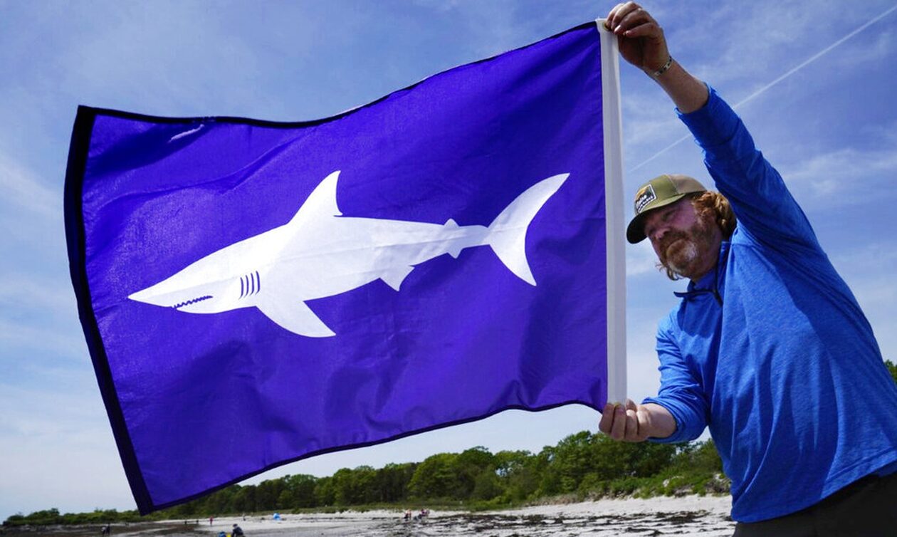 Επίθεση από καρχαρία: Πώς μπορούμε να την αποφύγουμε – «Γκουρού» συμβουλεύουν