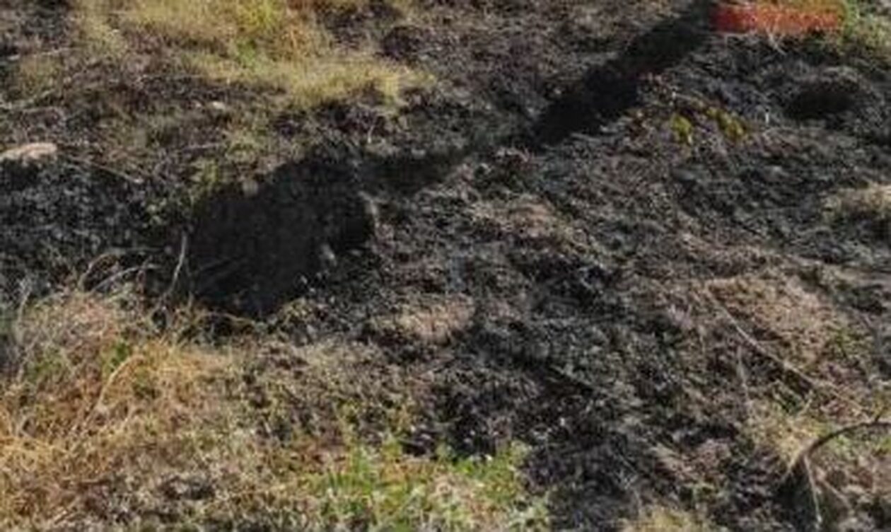 Κρήτη: Φωτιά στη Σύλλαμο Ηρακλείου – Τέθηκε αμέσως υπό έλεγχο