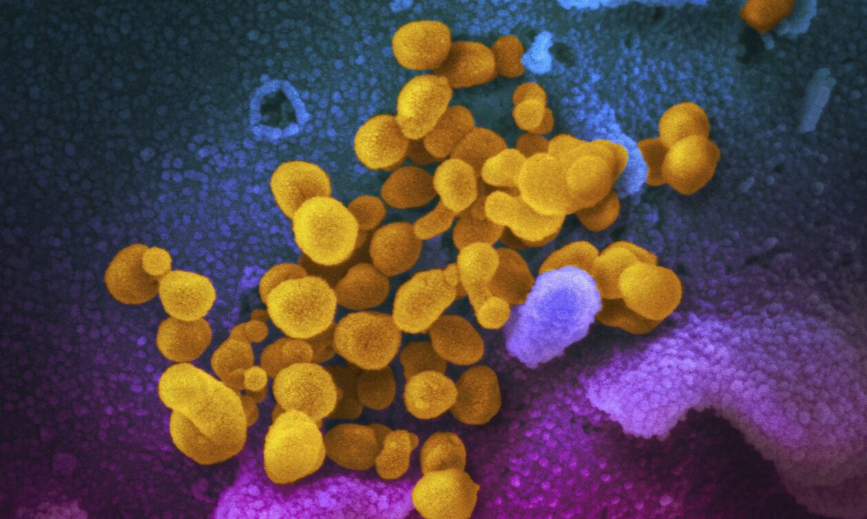 Κορονοϊός – ΕΟΔΥ: Στο 11% των κρουσμάτων η μετάλλαξη Eris