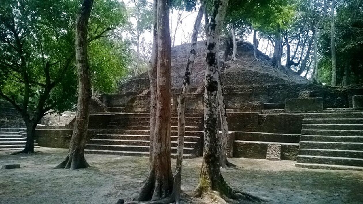 Γουατεμάλα: Αίσιο τέλος στην εξαφάνιση τεσσάρων Γάλλων τουριστών στη ζούγκλα