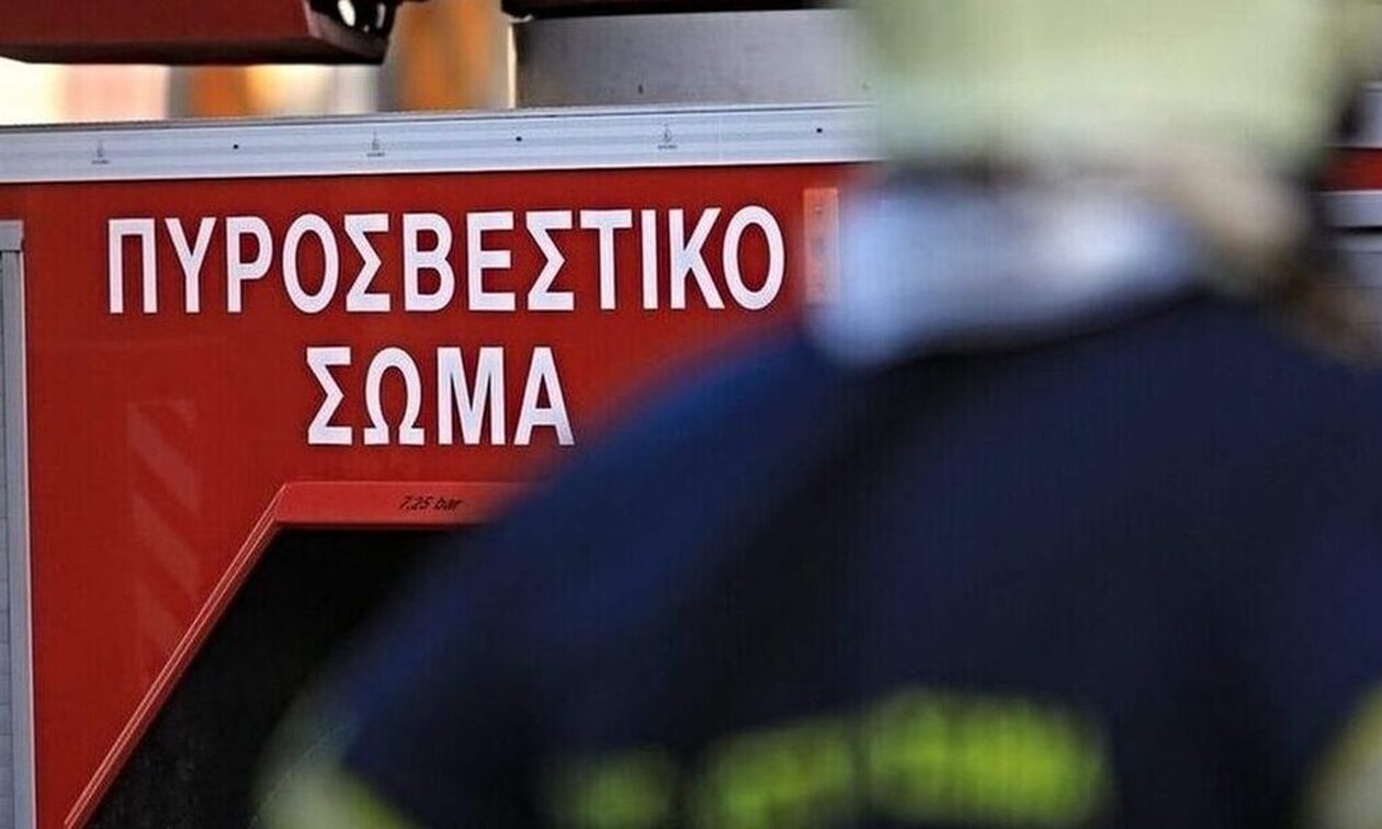 Φωτιά τώρα στην Κάρυστο – Πνέουν ισχυροί άνεμοι