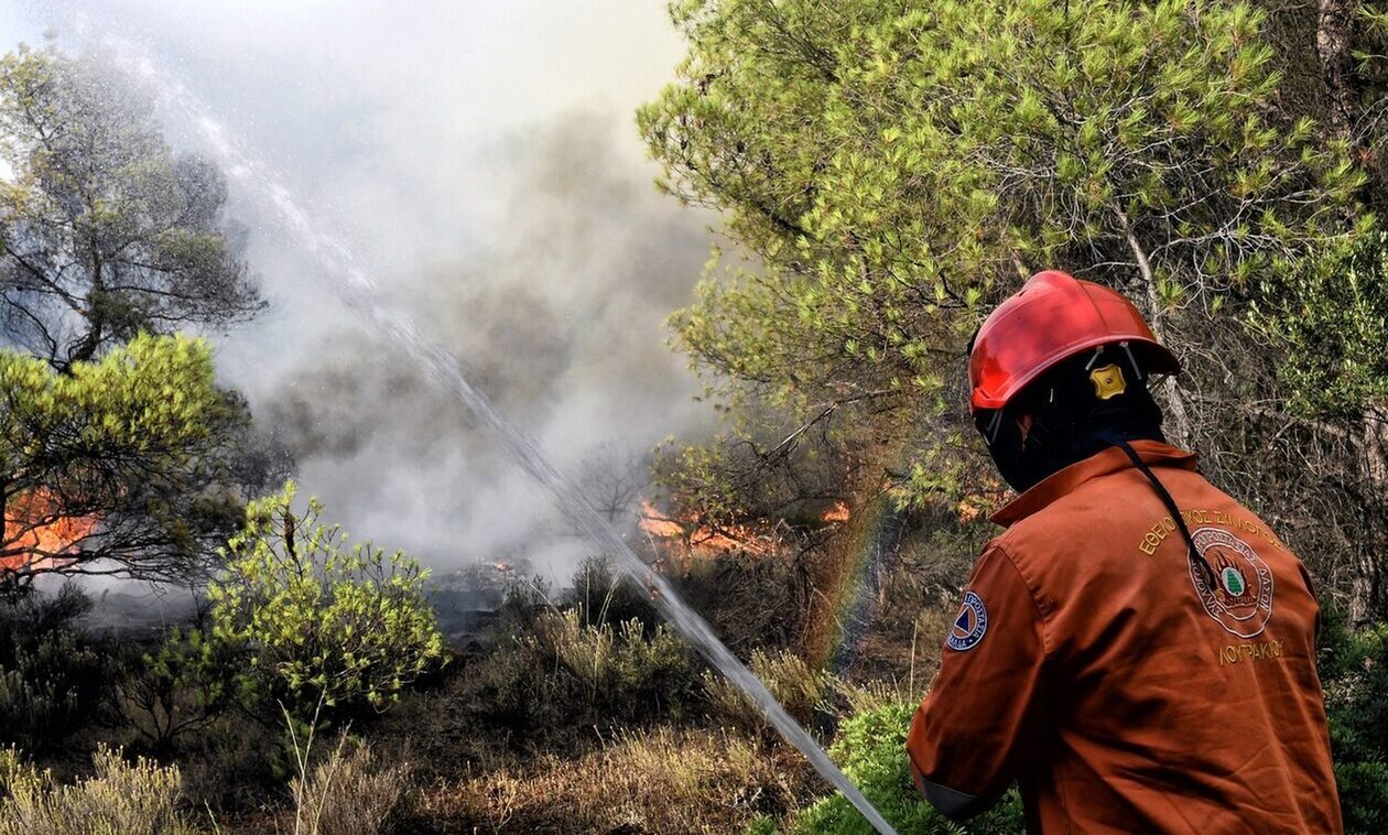 Πυροσβεστική: 44 πυρκαγιές εκδηλώθηκαν το τελευταίο 24ωρο