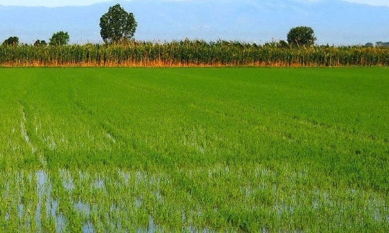 Πράσινος Αγροτουρισμός: Εγκρίθηκαν οι πρώτες αιτήσεις