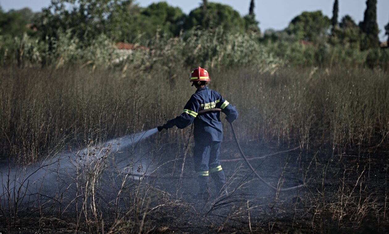 Θεσσαλονίκη: Υπό έλεγχο τέθηκε η φωτιά στον Λαγκαδά