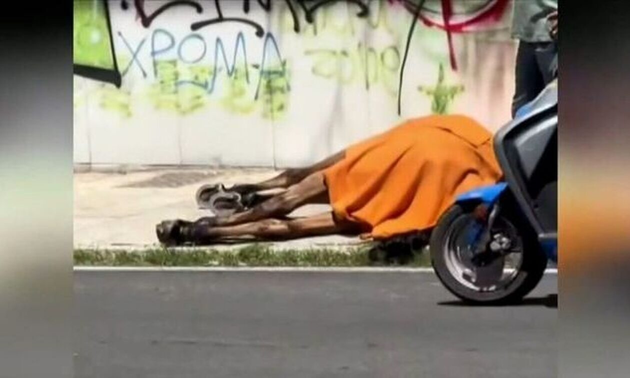 Κτηνωδία στη Χαλκίδα: Βασάνισαν μέχρι θανάτου με αλυσίδα άλογο και το παράτησαν στον δρόμο