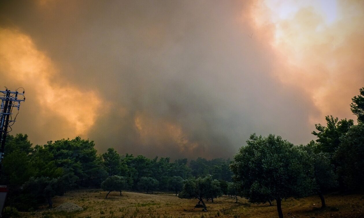 «Όχι, δεν θέλουμε να μάθουμε να ζούμε μ’ αυτό» – Συγκλονίζει το σκίτσο του Αρκά για τις φωτιές