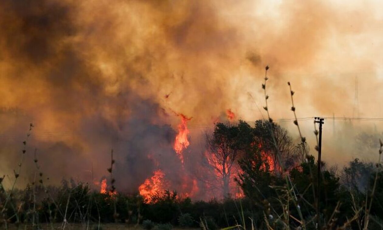 Έντονος προβληματισμός στις δυνάμεις ασφαλείας της χώρας για τις ανεξέλεγκτες πυρκαγιές στον Έβρο
