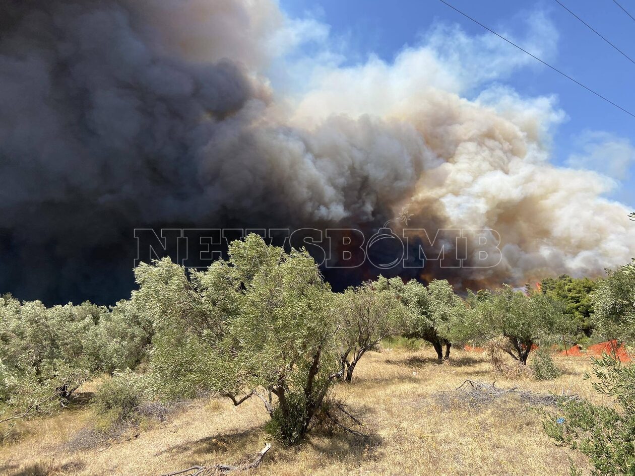 Φωτιά στη Φυλή: Μήνυμα 112 για εκκένωση