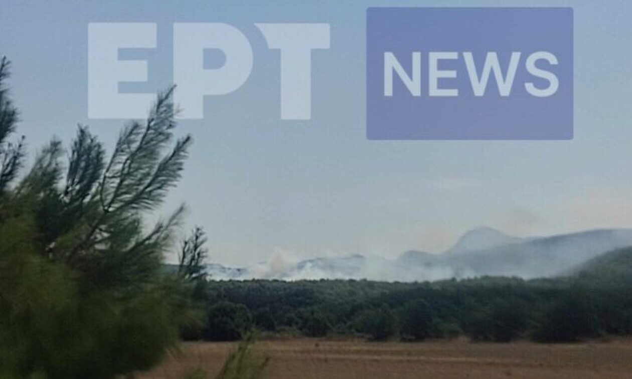 Φωτιά στη Μυτιλήνη: Πυρκαγιά σε δασική έκταση στην Αχλαδερή