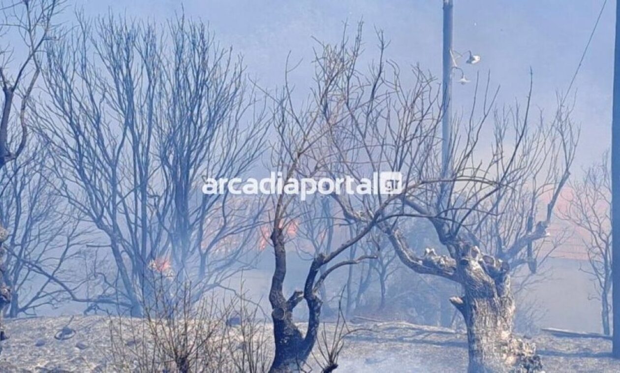 Φωτιά τώρα στην Αγία Σοφία Αρκαδίας – Απειλούνται σπίτια