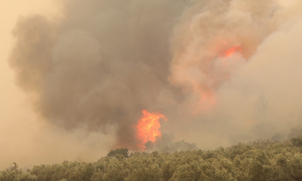 Φωτιά τώρα στη Νέα Σαμψούντα Πρέβεζας