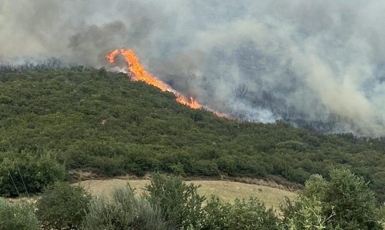 Φωτιά στη Μακρακώμη: Σε επιφυλακή για εκκένωση οι κάτοικοι στη Βίτωλη