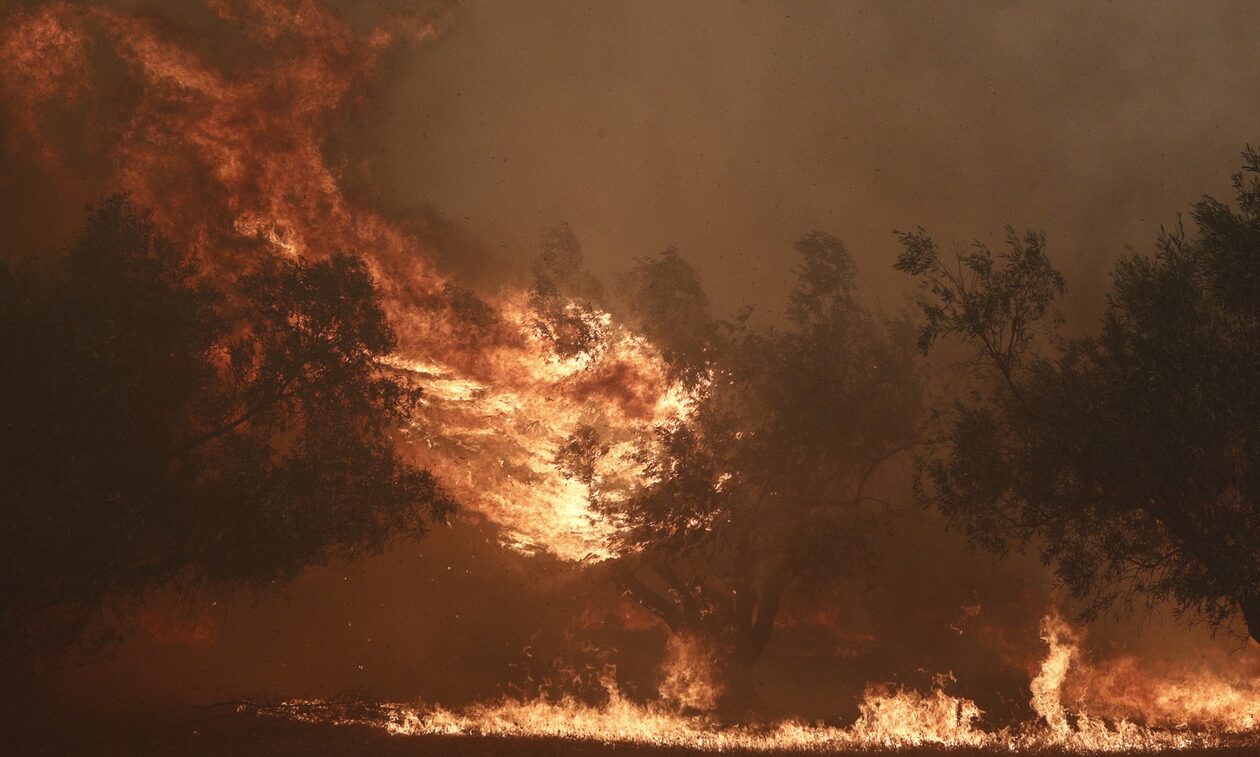 Φωτιά στην Πάρνηθα: Η εκτίμηση του Meteo για την εξέλιξη του μετώπου