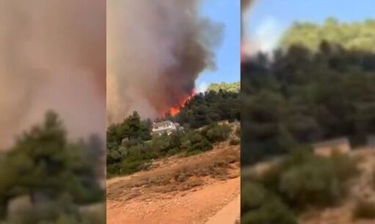 Φωτιά στην Πάρνηθα: Συγκλονιστικό βίντεο με απεγκλωβισμούς κατοίκων από αστυνομικούς
