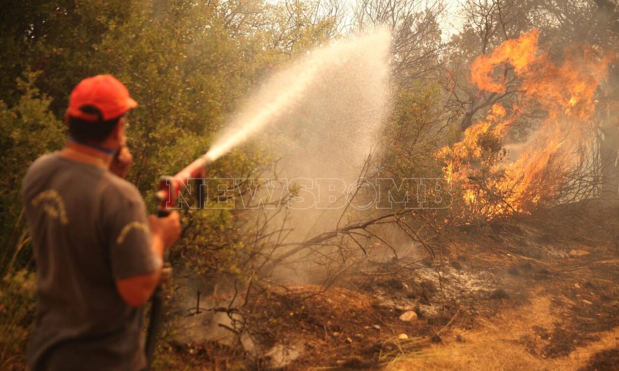 Φωτιά στην Αλεξανδρούπολη: Περισσότεροι από 200 πυροσβέστες στη μάχη – Ασθενέστεροι οι άνεμοι