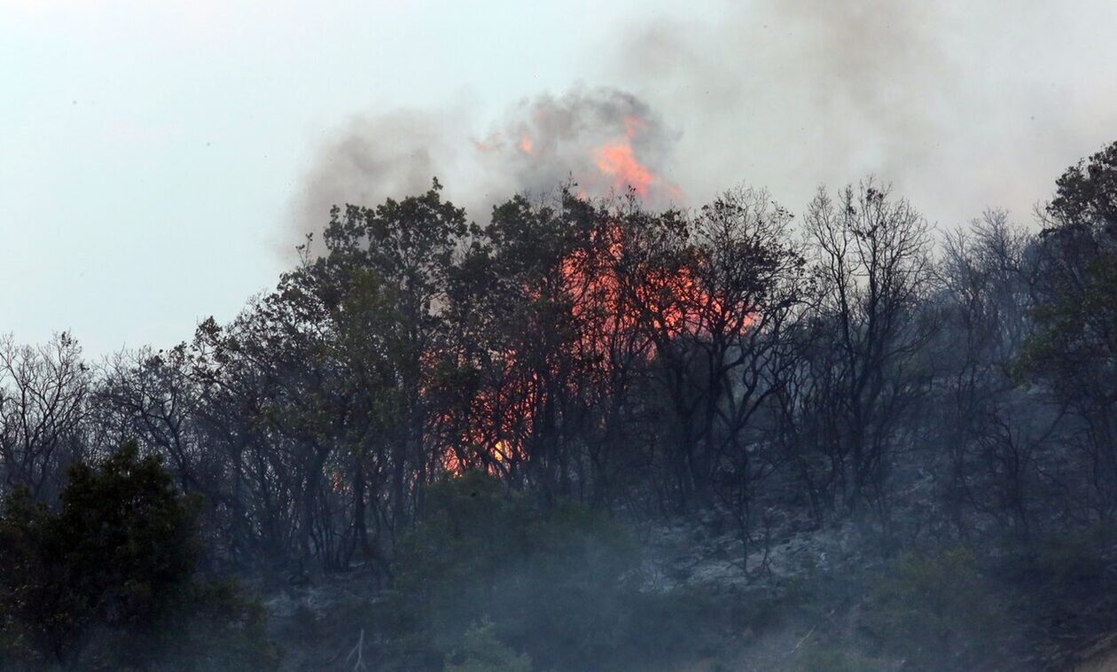 Φωτιές Καβάλα: Στα πύρινα μέτωπα Αβραμυλιάς και Διαλεκτού επιχειρούν οι πυροσβεστικές δυνάμεις