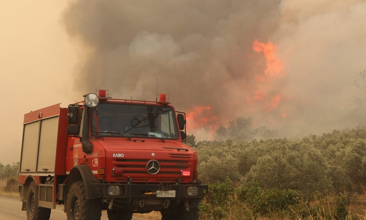 Φωτιά τώρα στο Δίστομο