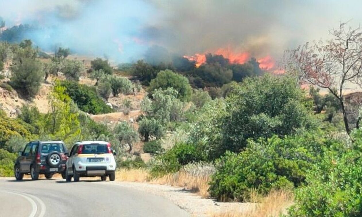 Βοιωτία: Μεγάλη αναζωπύρωση στα Βάγια – Απεγκλωβίστηκαν πατέρας και γιος από κτηνοτροφική μονάδα