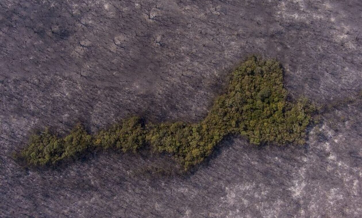 Φωτιά στη Δαδιά: Ξεκίνησε από το σημείο όπου βρέθηκαν απανθρακωμένοι οι μετανάστες