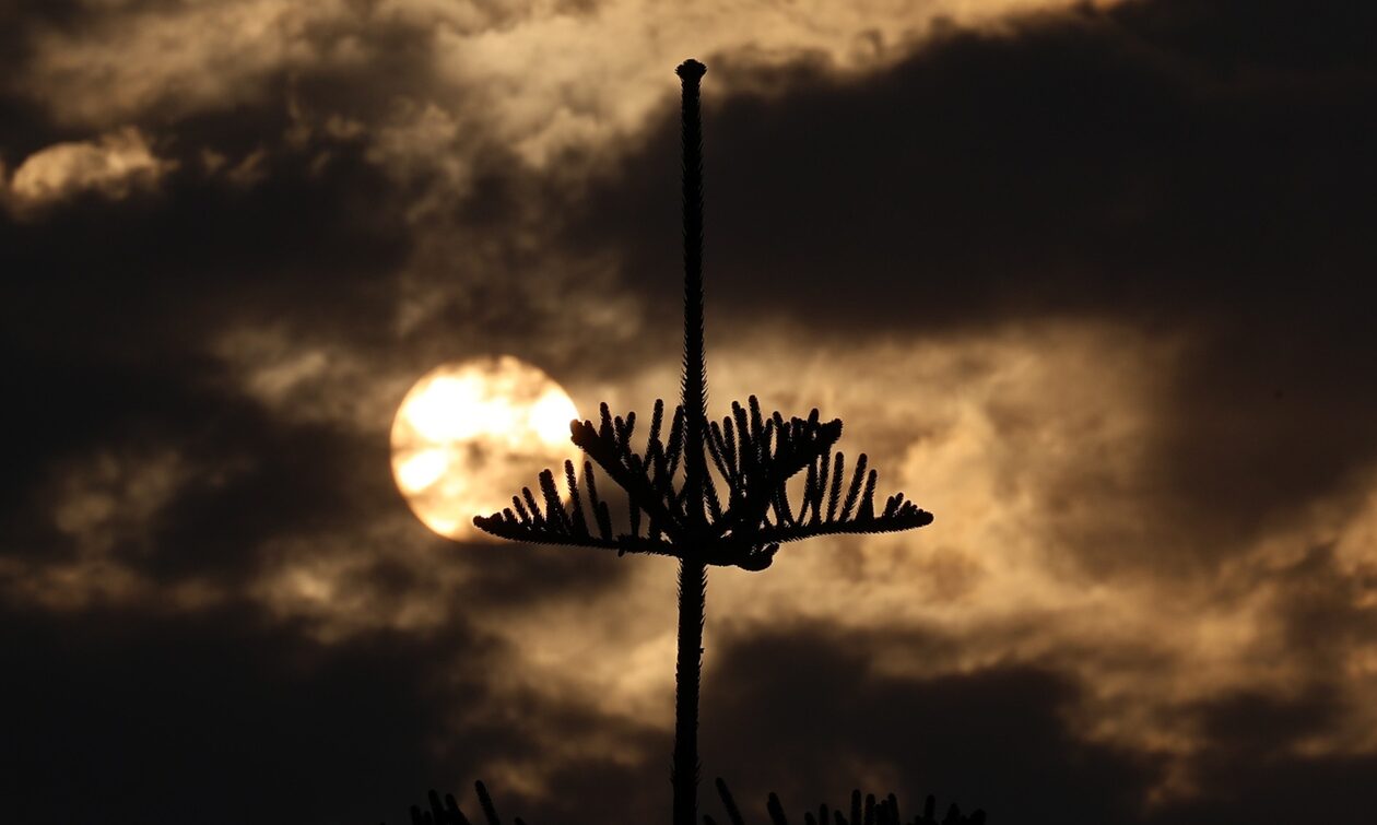 Πάρνηθα: Σε ύφεση η φωτιά  – Μέχρι την τελευταία στιγμή ρίψεις με επιβραδυντικό υγρό