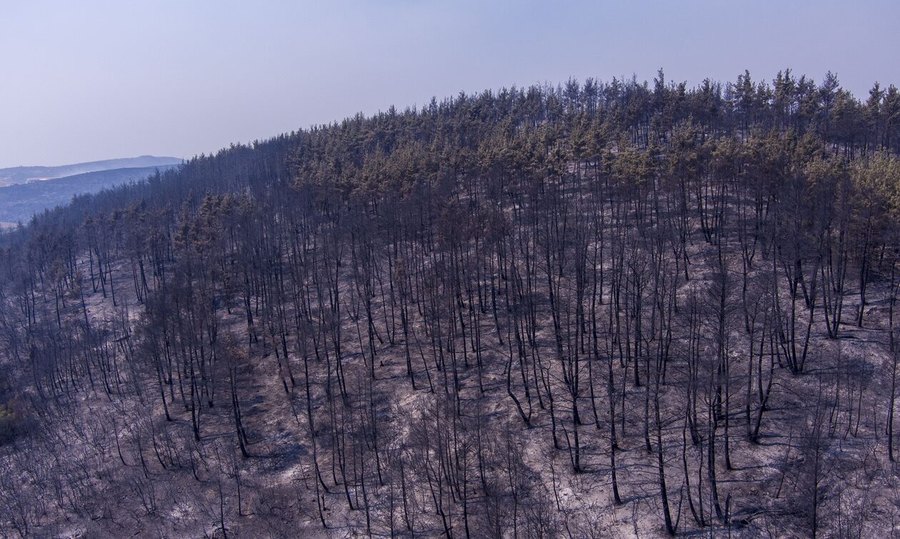 Copernicus: Ενεργοποιήθηκε για Φυλή, Ασπρόπυργο, Αχαρνές και περιοχές των δήμων Κομοτηνής