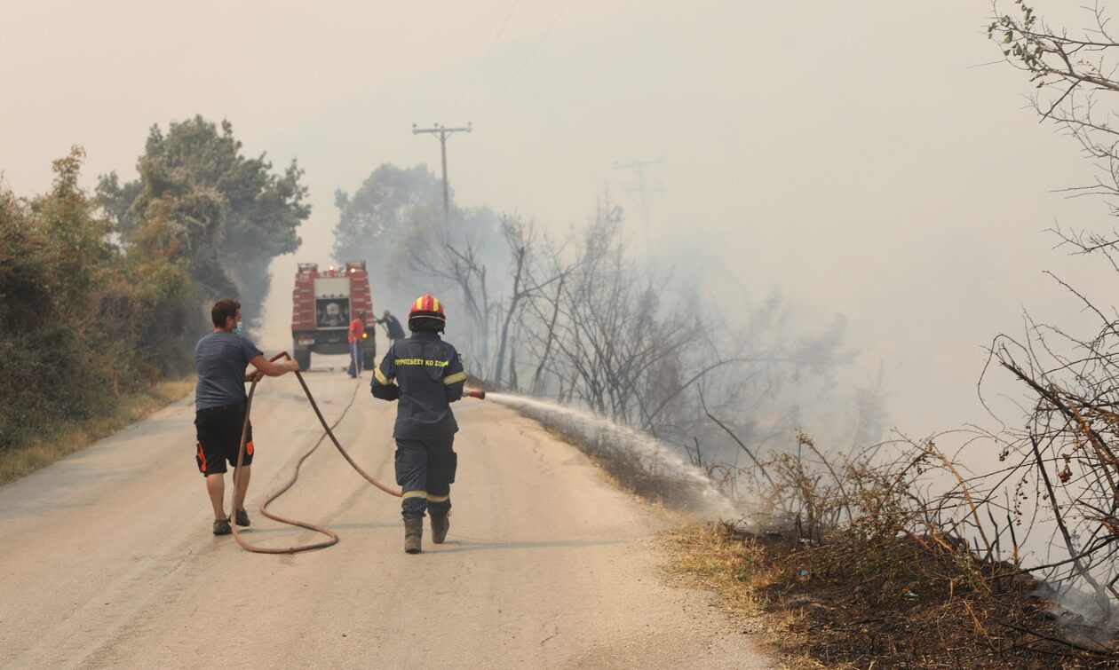 Φωτιά στην Αλεξανδρούπολη: «Οι μετανάστες χτυπήθηκαν από το θερμικό κύμα», λέει ο ιατροδικαστής