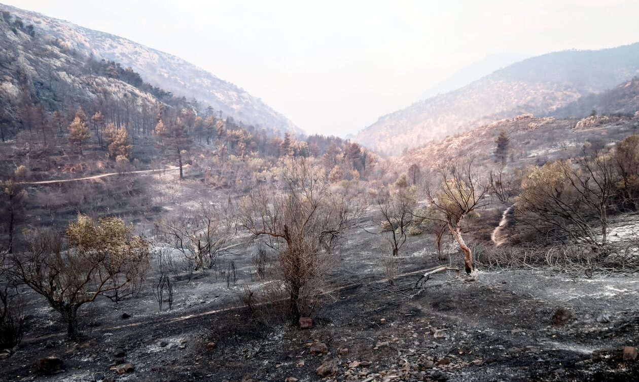 Φωτιές: Ενεργοποιήθηκε η υπηρεσία Copernicus για Ροδόπη και Αττική