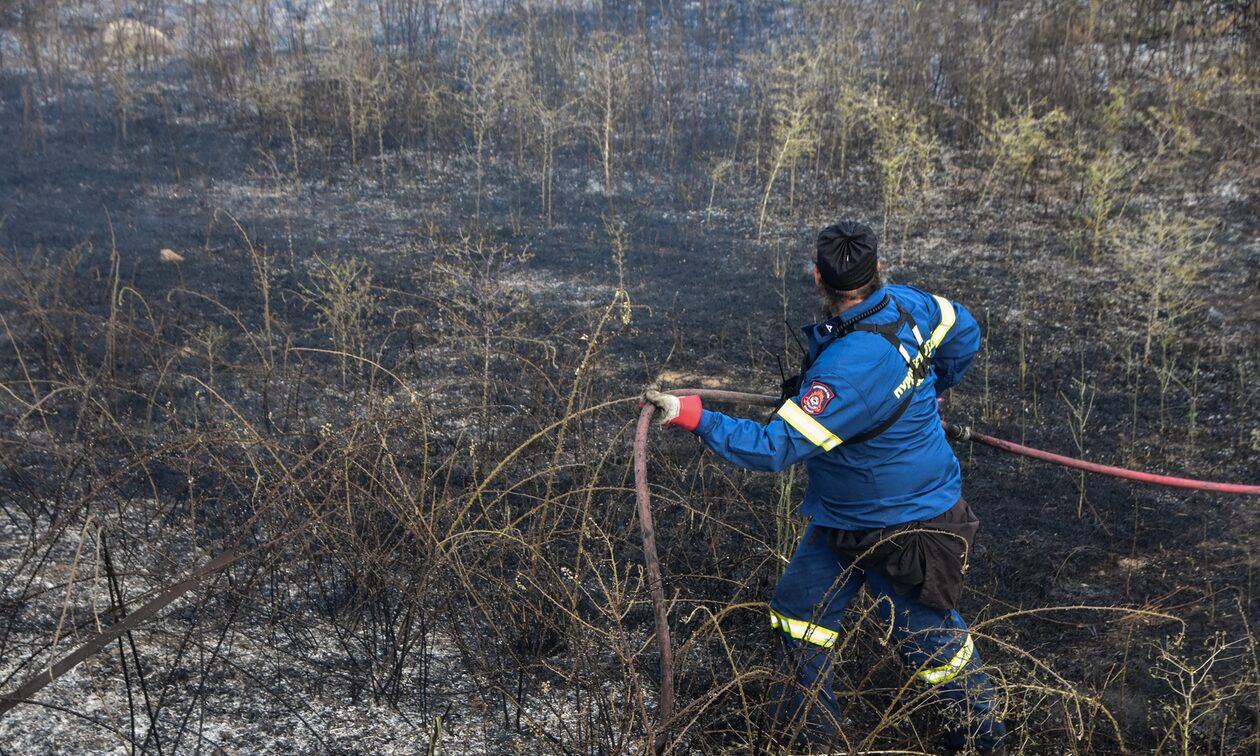 Φωτιά στο Ασπροχώρι Αυλώνας: Αντιμετωπίστηκε άμεσα από την Πυροσβεστική