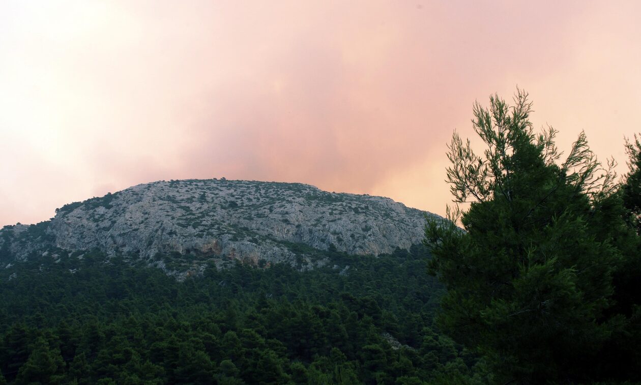 Φωτιά τώρα: Αναζοπύρωση στη Χασιά στη Μονή Κλειστών