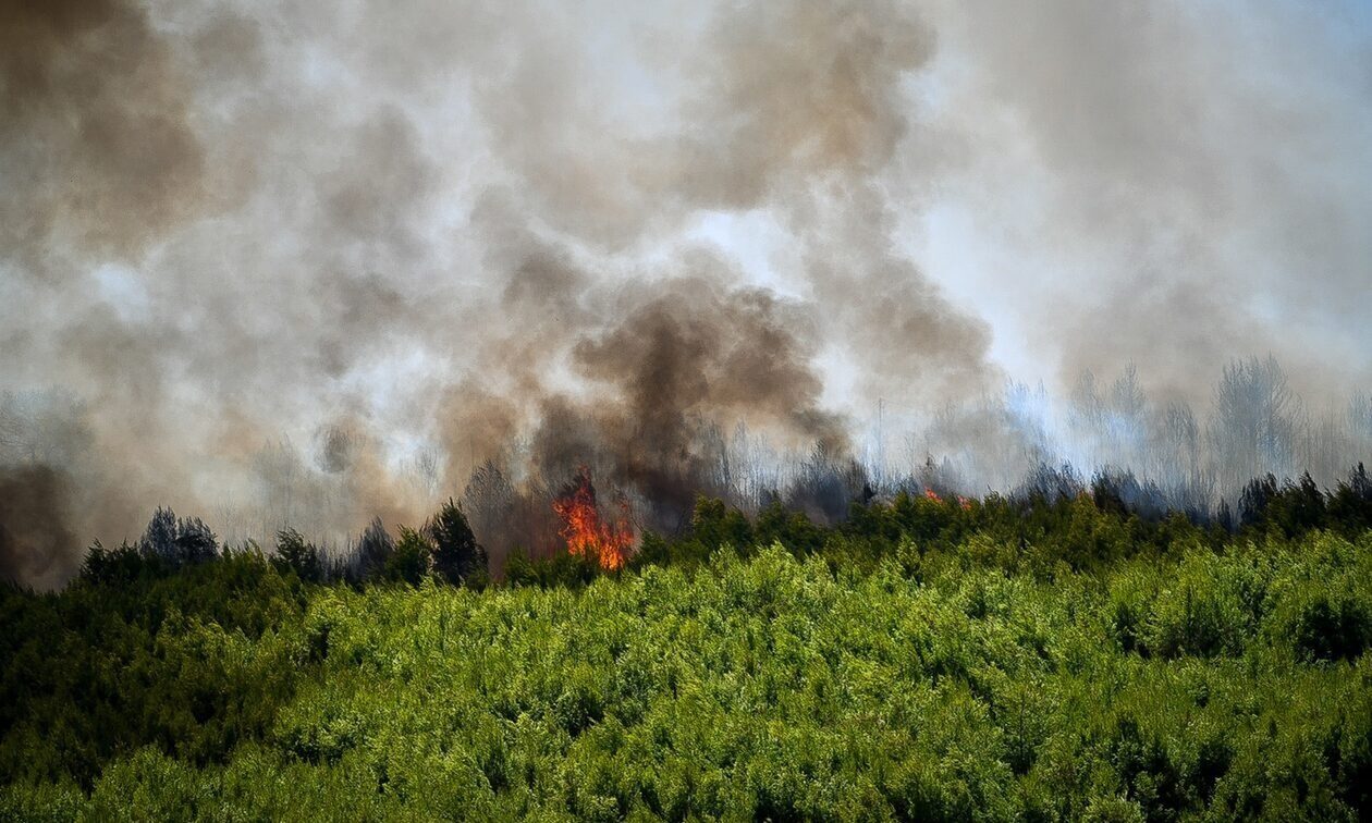 Meteo: Περισσότερα από 1.200.000 στρέμματα έχουν καεί έως την 23.08.2023