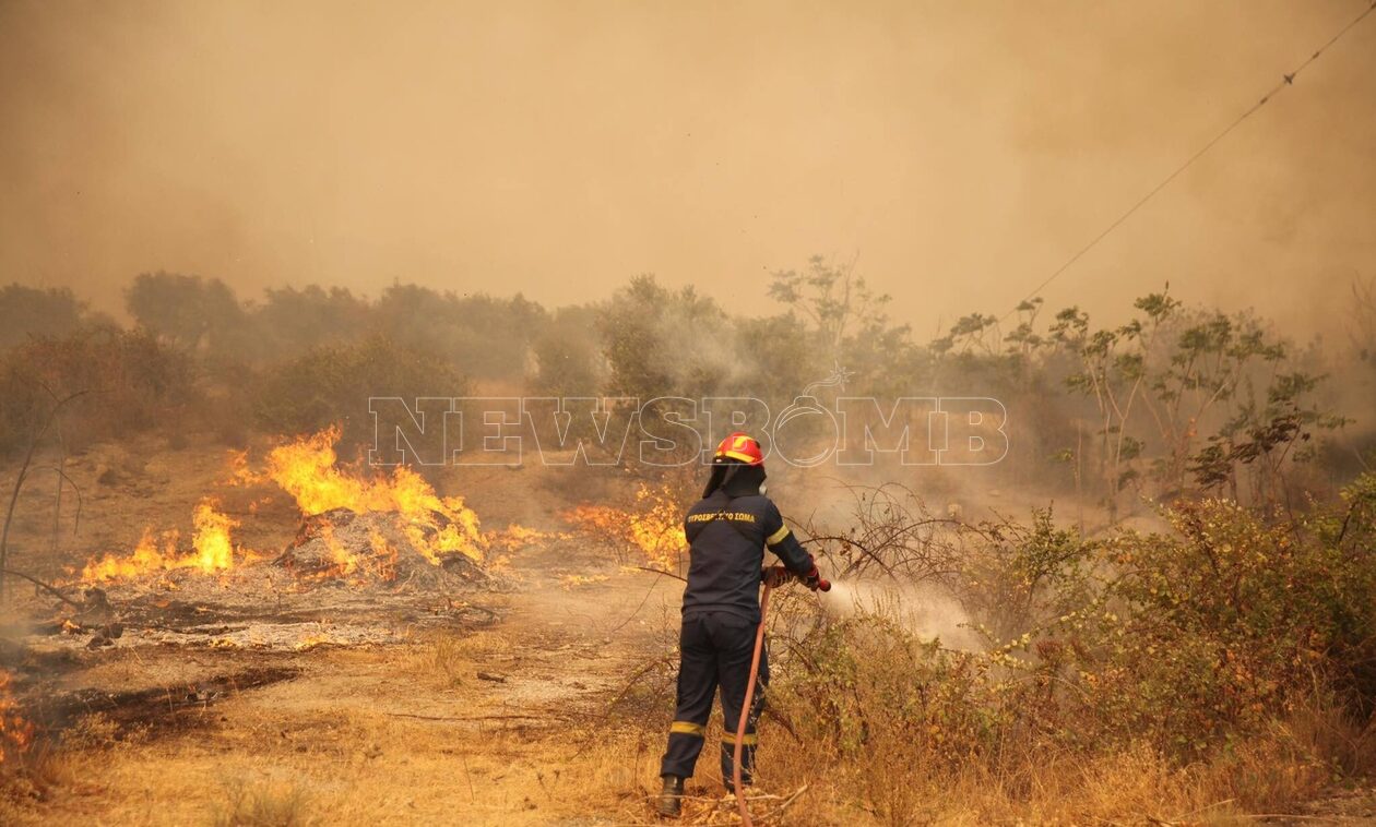 Φωτιά στην Αλεξανδρούπολη: Μαίνεται για 7η μέρα το πύρινο μέτωπο – Έπεσαν οι άνεμοι