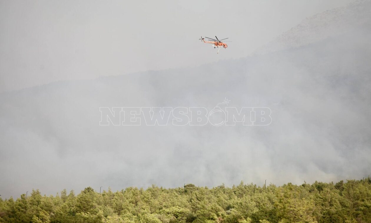 Φωτιές: Ακόμα ένας νεκρός μετανάστης στον Έβρο – Η εικόνα από τα μέτωπα σε Φυλή και Βοιωτία